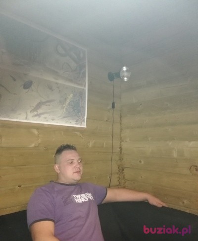 Michał , Mężczyzna, 34, Wrocław, Polska, Zdjęcie: 1