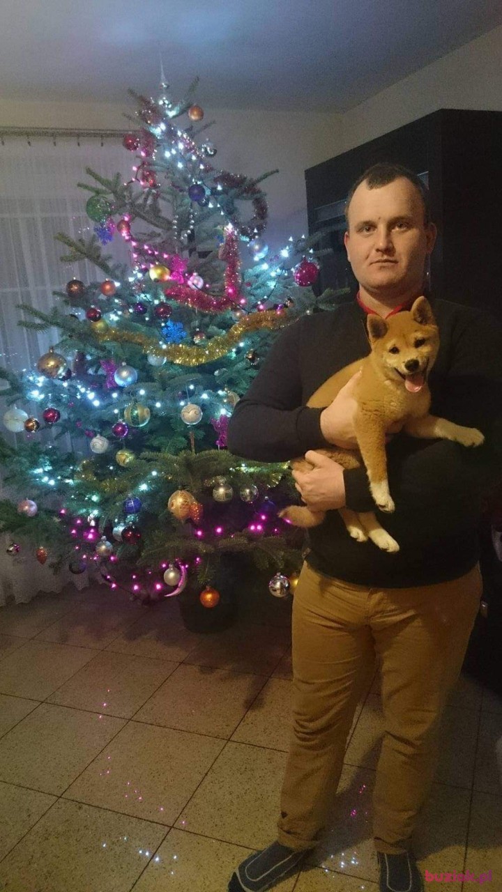 Rafa, Mężczyzna, 35, Żychlin, Polska: 1