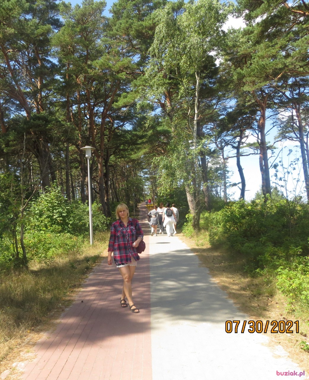 Urszula, Female, 41, Piła, Polska: 1