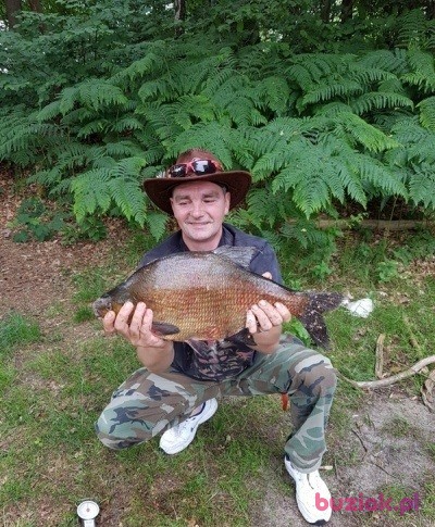 Marek, Mężczyzna, 54, Niemcy, Zdjęcie: 3