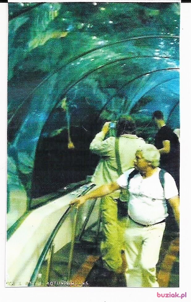 janusz, Mężczyzna, 76, Konstancja, Niemcy, Zdjęcie: 4