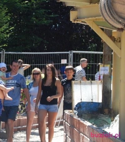 Paulina, Kobieta, 31, Częstochowa, Polska, Zdjęcie: 4