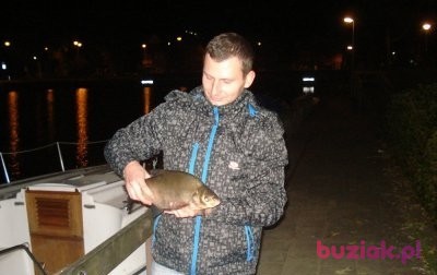 piotr, Mężczyzna, 43, Holandia, Zdjęcie: 3