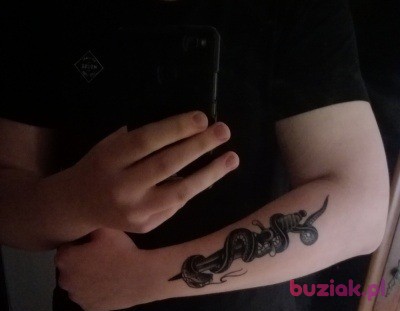 Piotrek, Mężczyzna, 26, Wrocław, Polska, Zdjęcie: 3