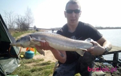 Piotr, Male, 41, Stalowa Wola, Polska, Photo: 1