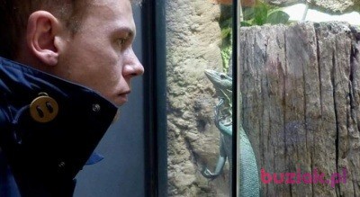 Gniewomir, Male, 34, Katowice, Polska, Photo: 2