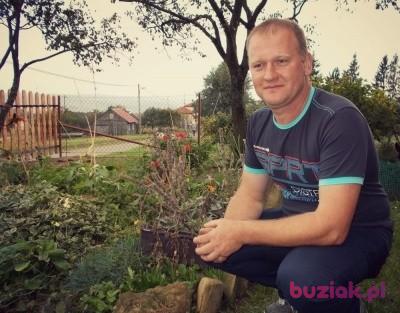 twojemarzenie1, Mężczyzna, 48, Przemyśl, Polska, Zdjęcie: 2