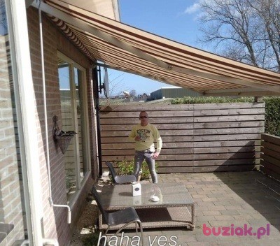 Adam, Male, 40, Haarlem North Holland Province, Holandia, Photo: 4