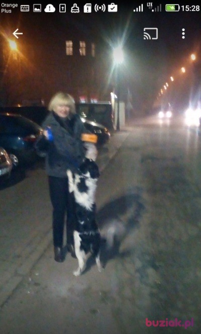 Gracja, Kobieta, 58, Opole, Polska, Zdjęcie: 2