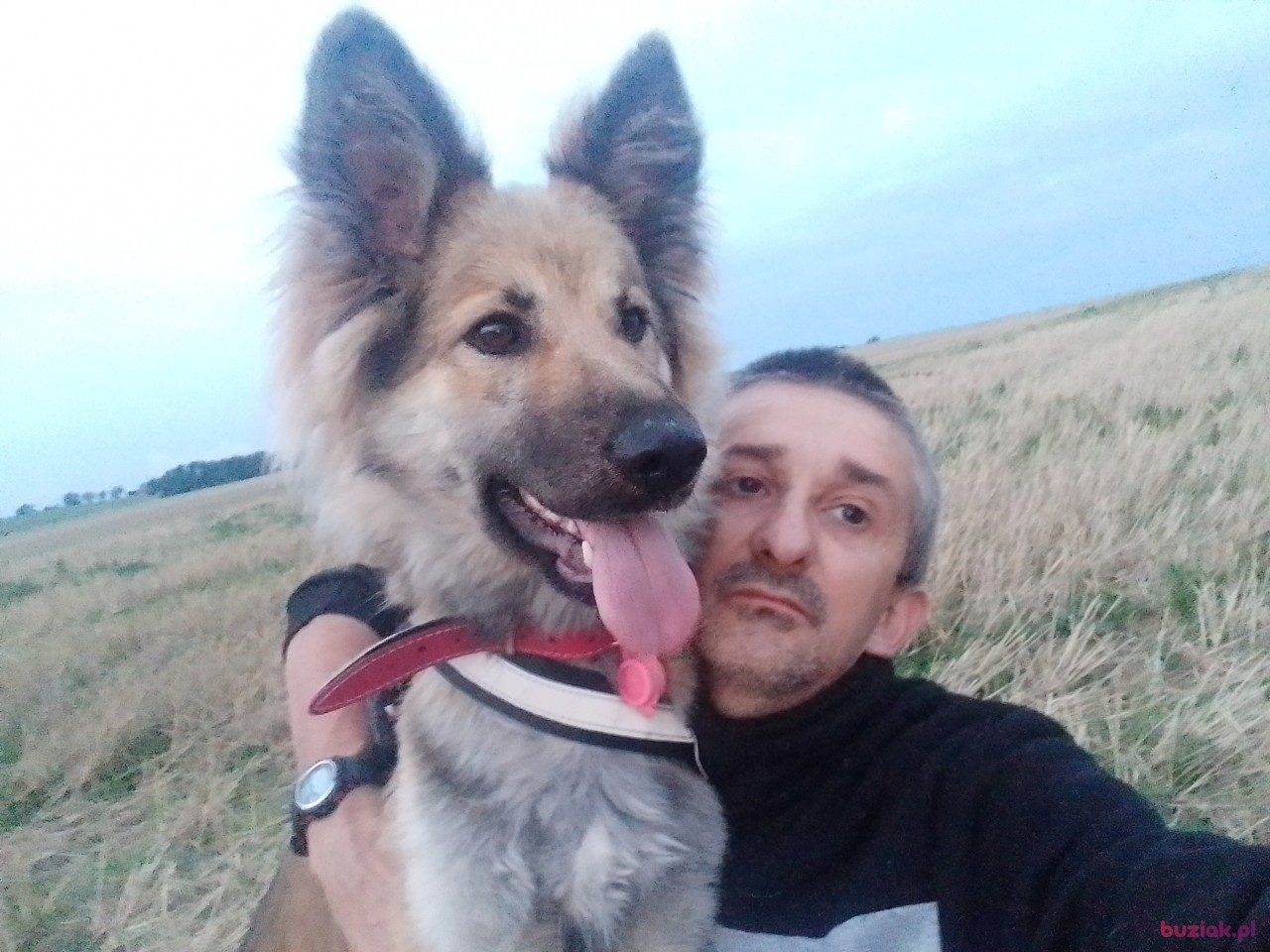 Paweł, Mężczyzna, 42, Jawor, Polska, Zdjęcie: 1