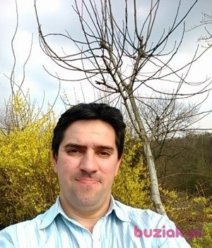 przemek , Male, 42, Ciężkowice, Polska, Photo: 2