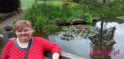 krystyna, Kobieta, 58, Bielawa, Polska: 1
