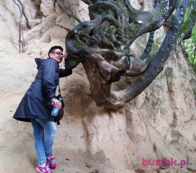 Magda, Female, 48, Poznań, Polska, Photo: 5