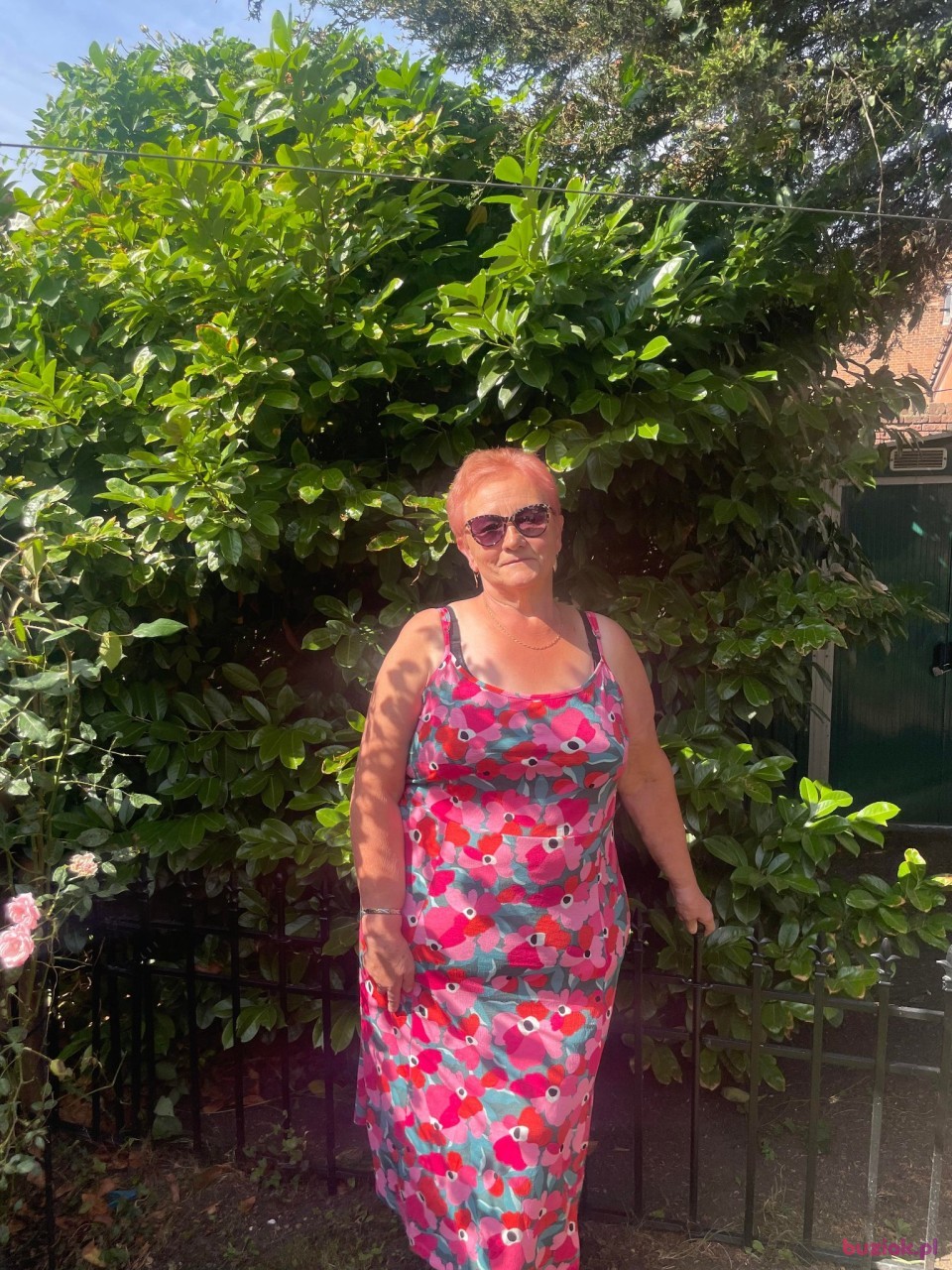 maria, Kobieta, 73, Nowy Tomyśl, Polska, Zdjęcie: 1