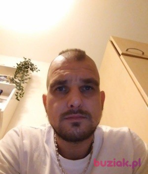 Damian, Mężczyzna, 39, Haarlem North Holland Province, Holandia, Zdjęcie: 3