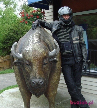 Wituna, Male, 45, Szczecin, Polska, Photo: 5