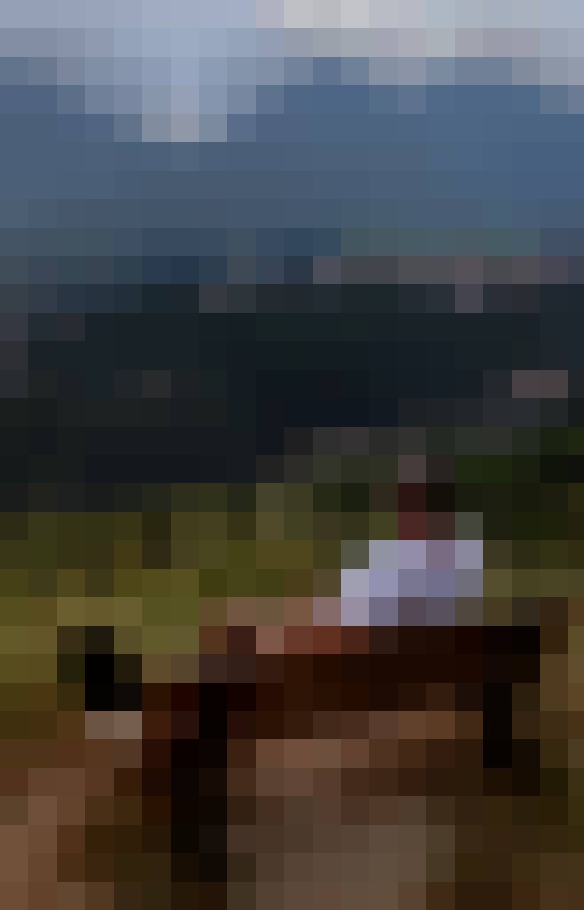 Tomi, Male, 55, Celle Lower Saxony, Niemcy, Photo: 9