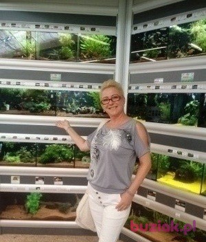 Żaneta, Kobieta, 52, Kożuchów, Polska, Zdjęcie: 2