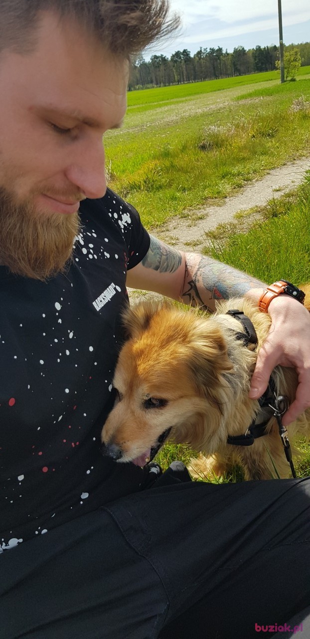 Krzysiek, Male, 35, Iłowa, Polska, Photo: 3