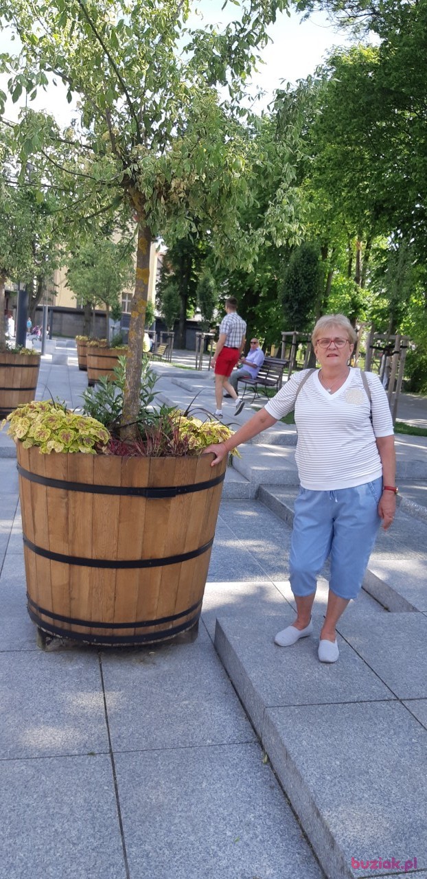 HENIA, Kobieta, 71, Wodzisław Śląski, Polska, Zdjęcie: 3