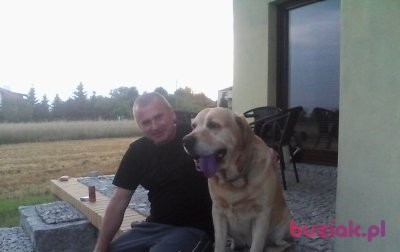 pawlo46, Mężczyzna, 57, Wieluń, Polska, Zdjęcie: 4
