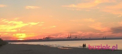 Włodek, Mężczyzna, 53, Warszawa, Polska, Zdjęcie: 7