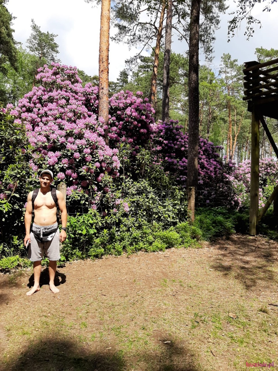 Kamil, Male, 35, Rastatt, Niemcy, Photo: 5