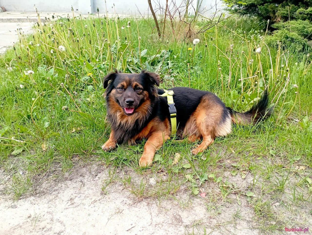 Anna, Female, 36, Warszawa, Polska, Photo: 2