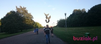 cezary , Mężczyzna, 43, Szczecin, Polska, Zdjęcie: 2