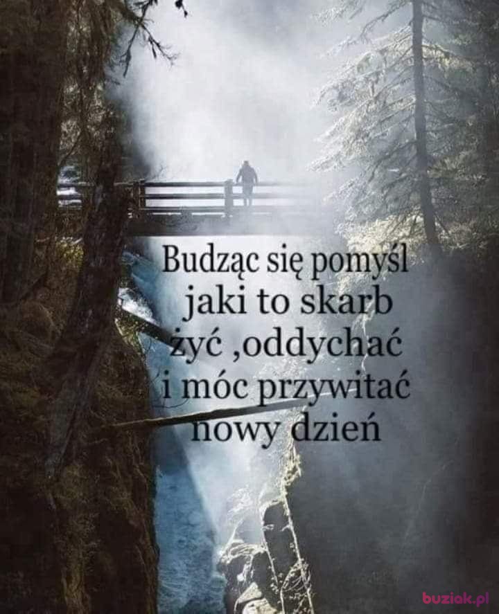 Daro, Mężczyzna, 43, Łańcut, Polska, Zdjęcie: 8