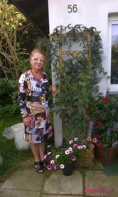 Dana, Kobieta, 61, Szczecin, Polska, Zdjęcie: 7