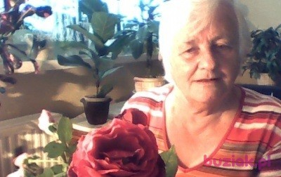 beata, Female, 83, Toruń, Polska, Photo: 2