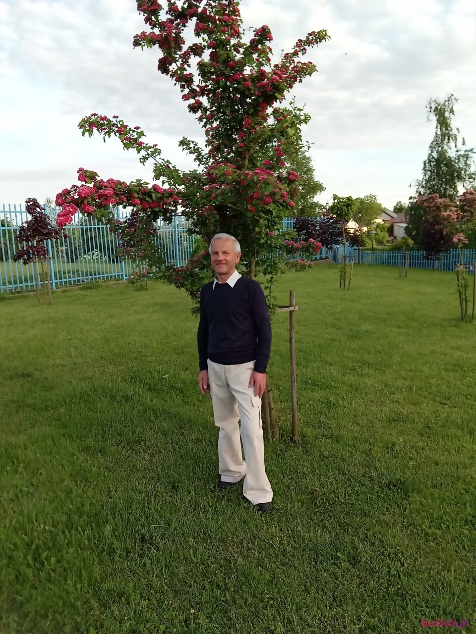 Czeslaw, Mężczyzna, 68, Zambrów, Polska: 1
