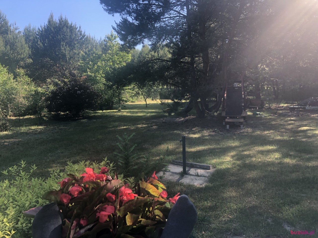 Jacba, Male, 51, Rzeszów, Polska, Photo: 4