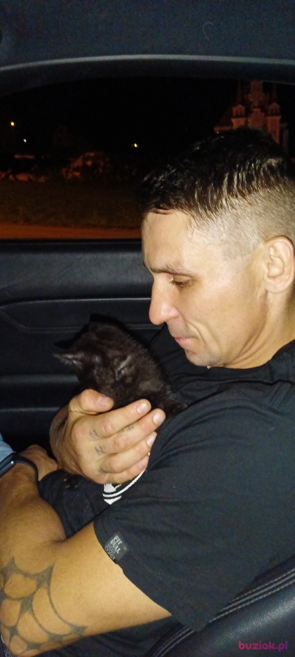 Aru, Male, 34, Kraków, Polska: 1