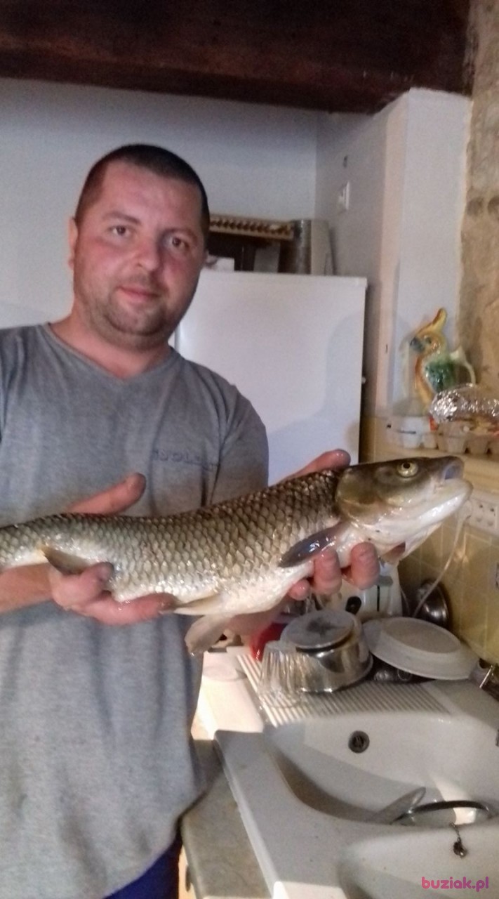 łukasz, Mężczyzna, 40, Bełżyce, Polska: 1