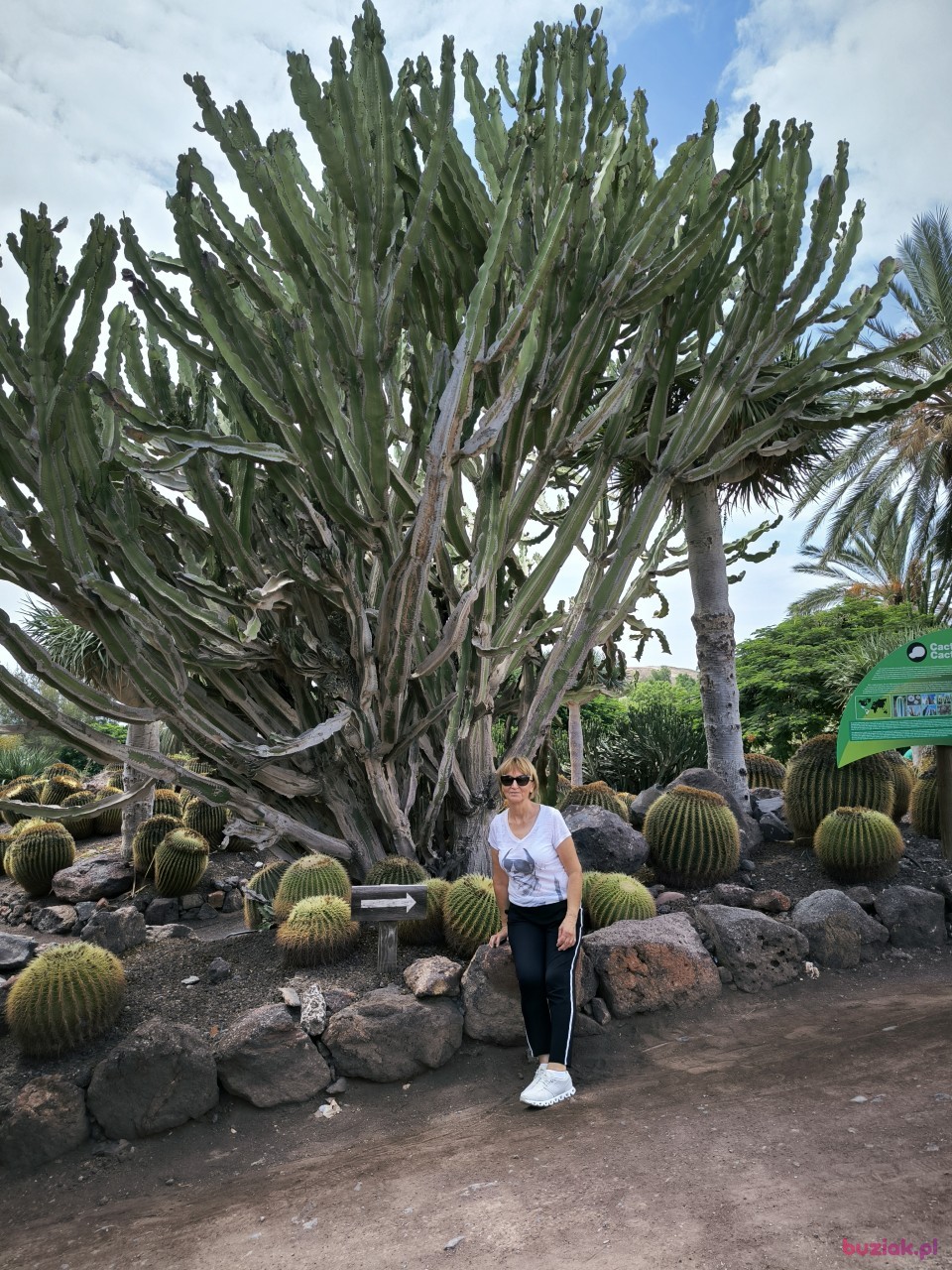 ASIA, Female, 60, Hechingen, Niemcy, Photo: 1