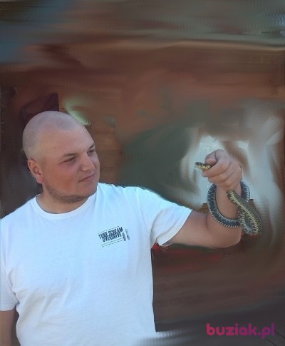 Patryk, Male, 37, Kamień Pomorski, Polska: 1
