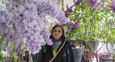 lizamila, Kobieta, 60, Kraków, Polska: 1