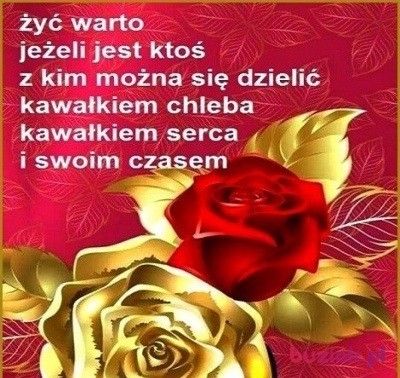 Tomasz, Mężczyzna, 60, Warszawa, Polska, Zdjęcie: 4