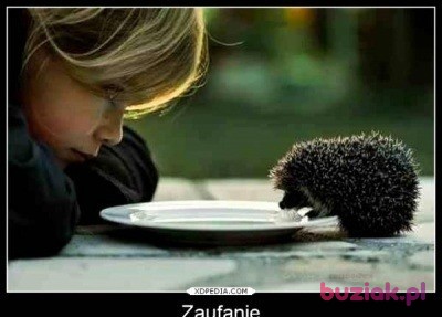 PIOTR, Male, 51, Polska, Photo: 5