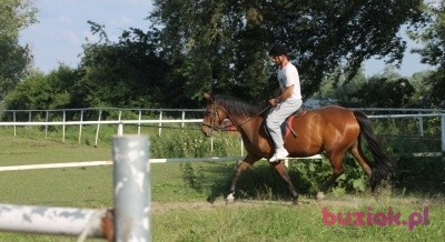 kiu1, Male, 47, Warszawa, Polska: 1