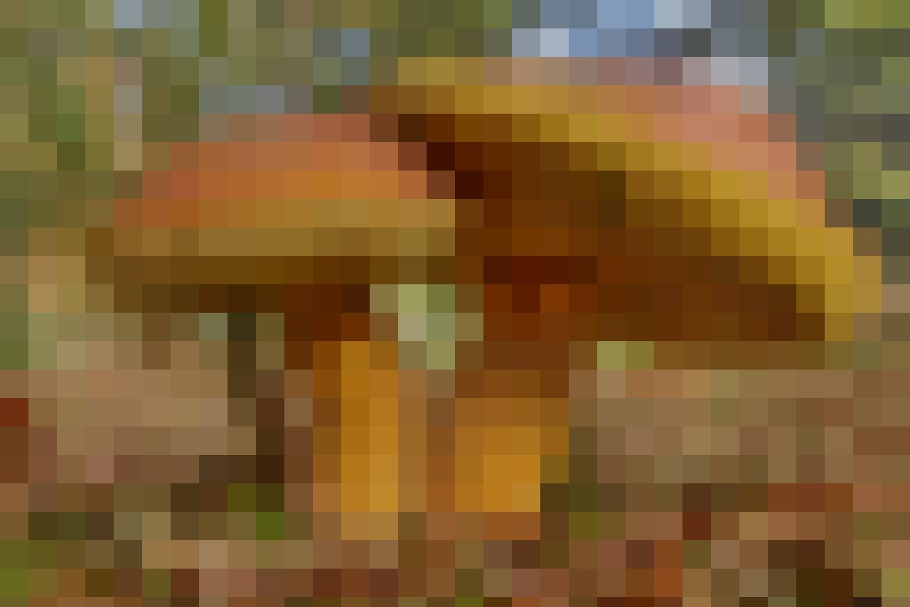 Majka, Kobieta, 23, Warszawa, Polska: 1