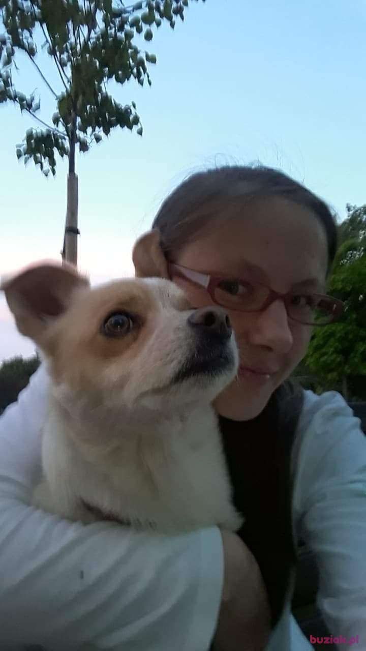 sandra, Kobieta, 35, Nowy Sącz, Polska, Zdjęcie: 1