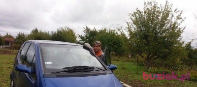 mirafion, Mężczyzna, 42, Szczecin, Polska, Zdjęcie: 3