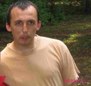 Mariusz, Mężczyzna, 48, Dębno, Polska, Zdjęcie: 2
