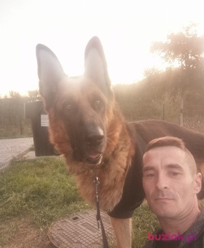 ArturArturo, Male, 42, Gubin, Polska, Photo: 2