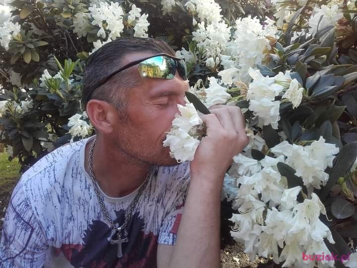 Dariusz, Mężczyzna, 49, Amersfoort, Holandia, Zdjęcie: 3