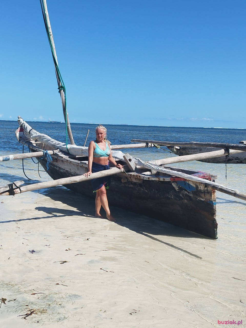 Małgorzata, Kobieta, 62, Warszawa, Polska, Zdjęcie: 4