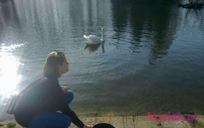 Gosia, Kobieta, 35, Sosnowiec, Polska: 1